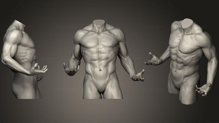Anatomy of skeletons and skulls (Torso With Arms 832, ANTM_1136) 3D models for cnc